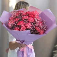 Букет из 19 диантусов и гипсофилы 0