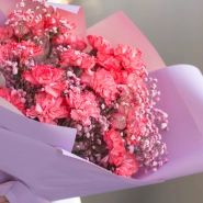 Букет из 19 диантусов и гипсофилы 1