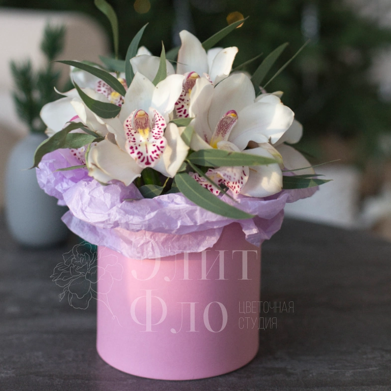 Композиция из орхидеи и эвкалипта