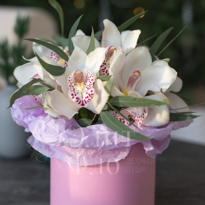 Композиция из орхидеи и эвкалипта