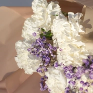 Букет из 11 диантусов 4