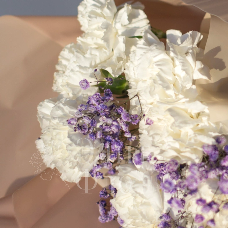 Букет из 11 диантусов