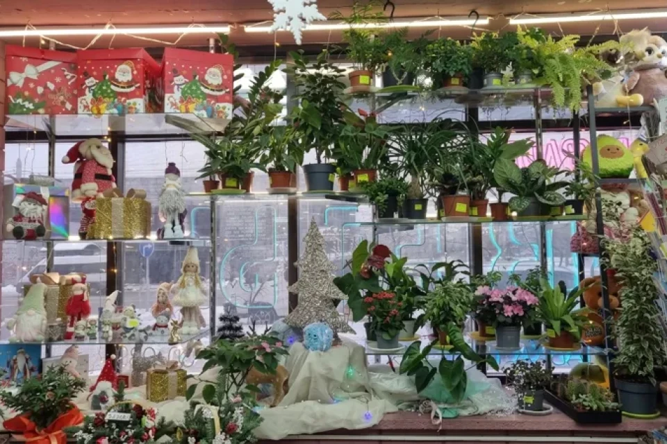 Наш магазин