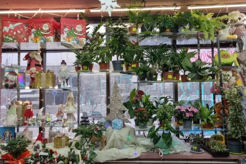 Наш магазин